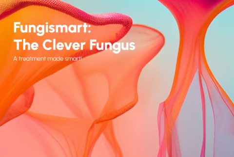 FungiSmart Amsterdam | Natuurlijk middel tegen nagel- en huidschimmel